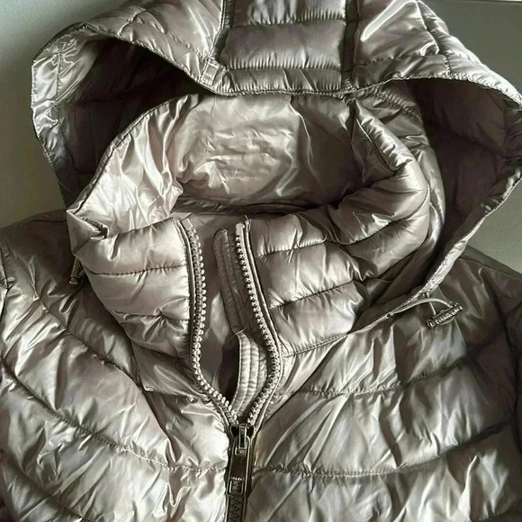 Calvin Klein - Picture 4 of 7